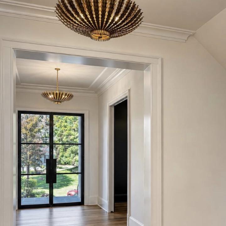 Entry hall with steel-framed glass front door and brass fixture